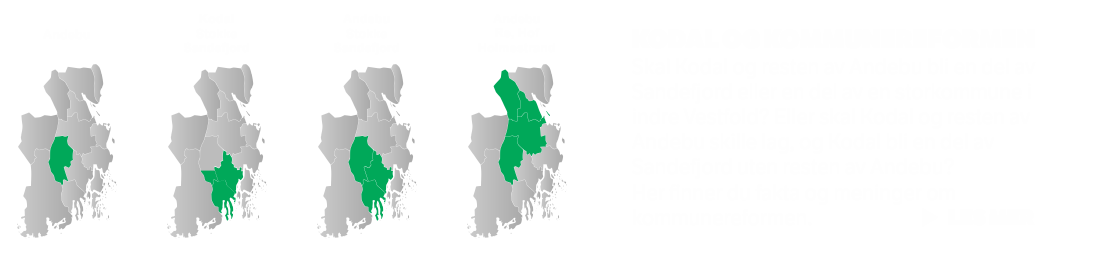 Vestfold-kommuner-alternativer-ramme.png