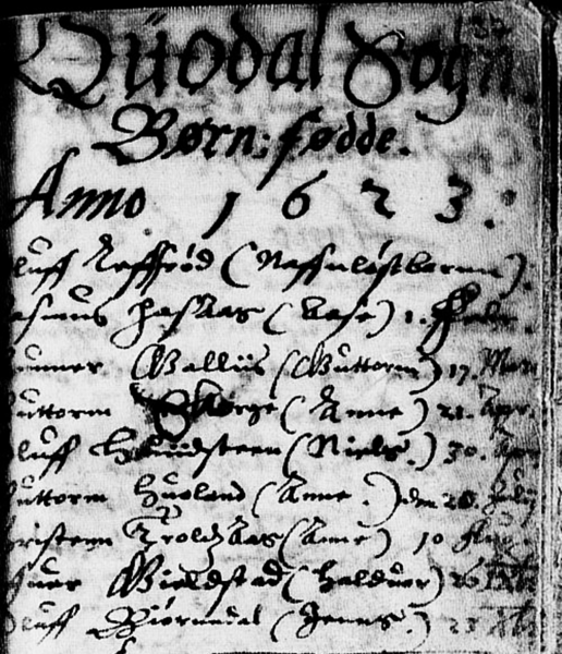 Fil:16230000 kirkebok andebu.png